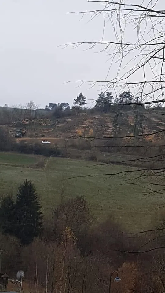 Gepflegte Hangfläche am Waldrand, vergleichbar den Streuobst- und Waldlagen über Unkelbach und Oedingen