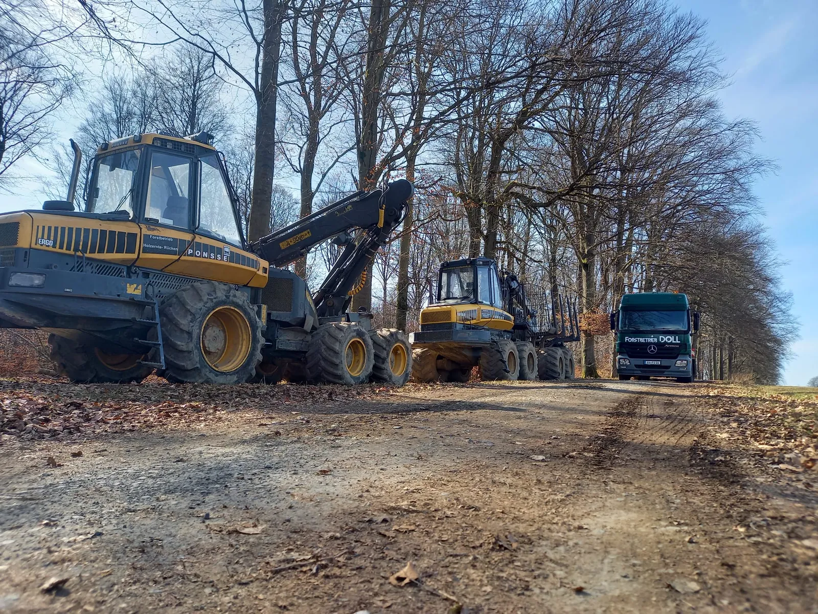 Harvester, Rückezug und Lkw des Forstbetriebs Doll auf einem Waldweg