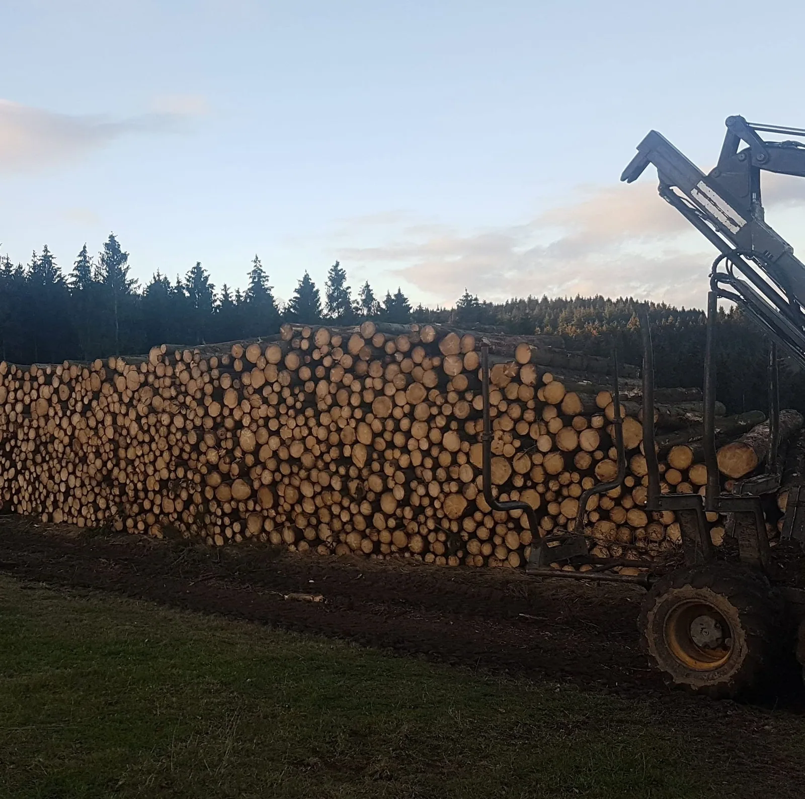 Holzpolter mit Kranausleger am Wegrand