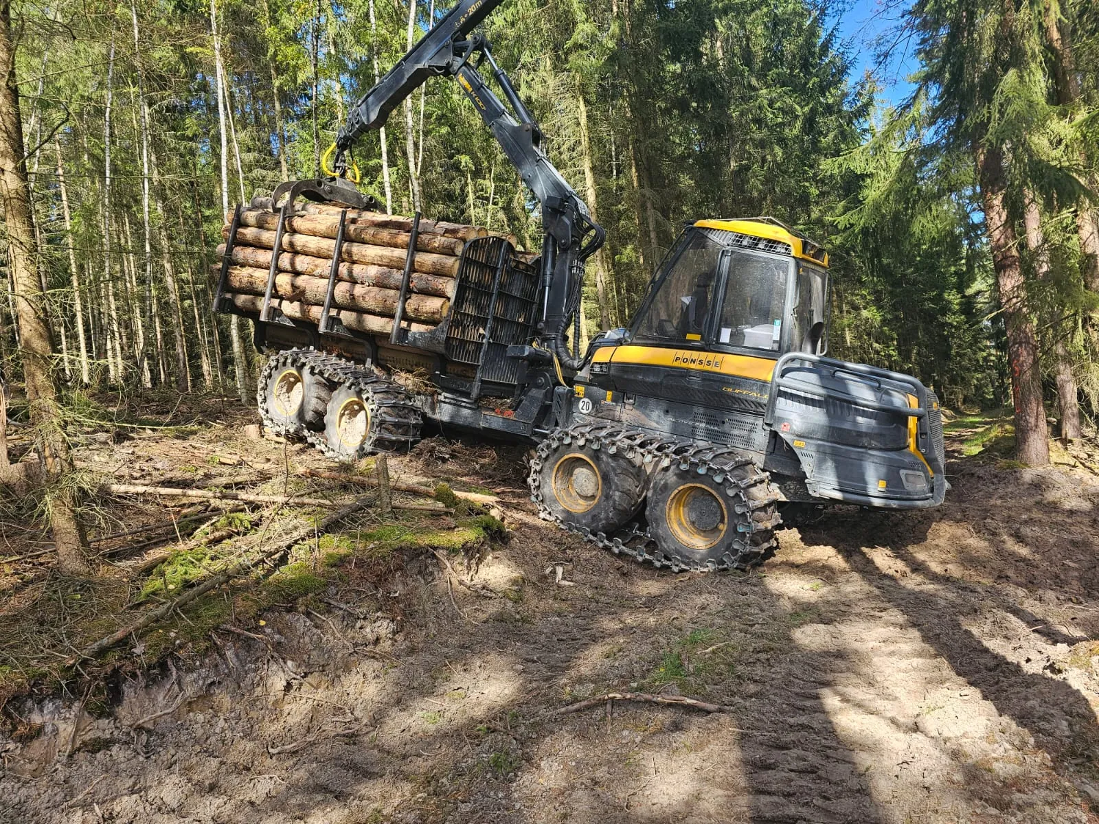 Rückezug voll beladen im Fichtenwald am Hang