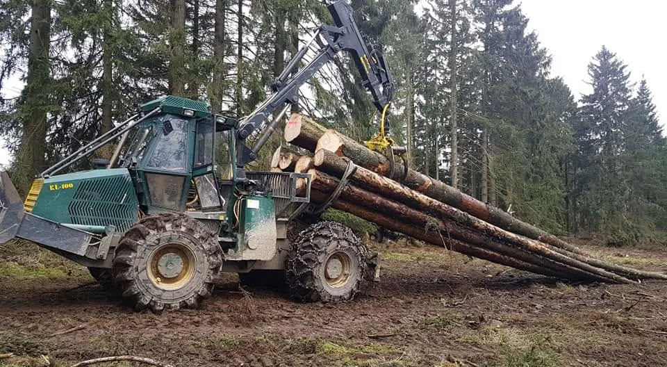 Rückezug mit Stammholz auf einer Rückegasse im Nadelwald der Hocheifel bei Adenau
